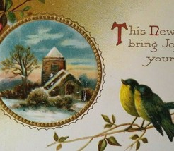 New Years Postcard Seated Birds Yellow Green Embossed Vintage Germany Antique - £8.58 GBP