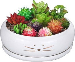 Koolkatkoo 8 Inch Large Cute Cat Ceramic Succulent Planter Pots With Plant - $41.97