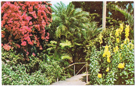 Florida Postcard Sunken Garden Rustic Bridge Bougainvillea Snapdragons - £1.67 GBP