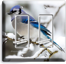 Blue Jay Bird Winter Snow Bluebird Light Double Gfi Switch Wall Cover Room Decor - $13.94