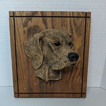 VtgKennel Favorites Wall Plaque &quot;Yellow Labrador&quot; 1983 Dog Bust Aus-Ben ... - $28.04