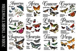 Zodiac Butterfly Quotes/Description Sublimation Bundle All 12 Zodiacs - £1.58 GBP