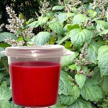 Australian Patchouli Soy Wax Scented Soy Wax Candle Melts Shot Pots, Vegan, Hand - £12.64 GBP+