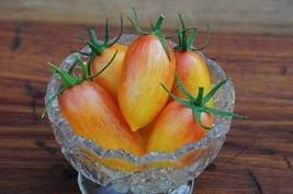 Blush Tomato, 15 Seeds, Julienne Cherry, Saladette, NON-GMO, FREE SHIPPING - $2.27