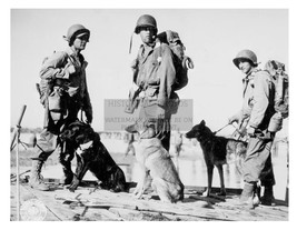 U.S. Soldiers With Their War Dogs In The Pacific Theatre WW2 Wwii 8X10 Photo - £8.50 GBP