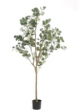 Artificial Tree Plant Eucalyptus Tree 6 Ft. Tall, Modern Large Fake Plant Decor - £46.36 GBP