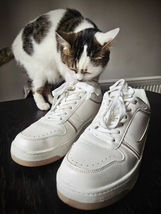 Item image 15
