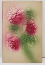 Roses Embossed Aribrushed Pink Green Early 1900s Postcard B19 - $3.95