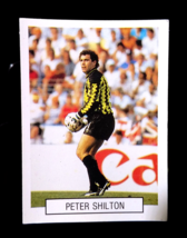 Peter Shilton ✱ Rare Sticker World Cup Italy 90 England Football Team (Pt) - £4.71 GBP