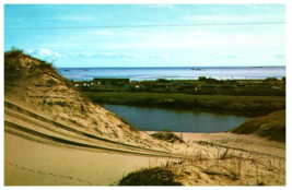 Sand Dunes Along The Outer Cape Cod Massachusetts Postcard - £5.50 GBP