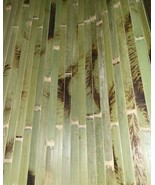 Wall Paneling 4&#39;x8&#39; Raw Green TORTOISE Wainscoting Bamboo Thatch Tiki Hu... - $93.94 CAD