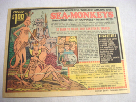 1971 Color Ad Sea Monkeys Sales Unlimited Transcience Corporation - $151.87 MXN