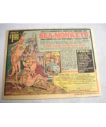 1971 Color Ad Sea Monkeys Sales Unlimited Transcience Corporation - £6.30 GBP