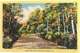 Schuylkill Haven, Pennsylvania, vintage postcard - £9.43 GBP