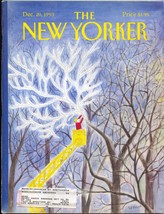 New Yorker Magazine Dec December 20 1993 JJ Sempe John McPhee Avedon Schiff - £18.19 GBP