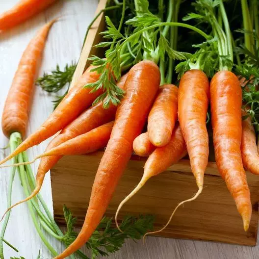 Tendersweet Gourmet Carrot 1500 Seeds - £7.51 GBP