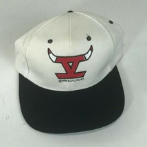 Vintage Rare 1995-1996 Chicago Bulls Hat Cap NBA Champions IV 4 Championship - £15.47 GBP