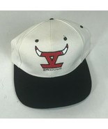 Vintage Rare 1995-1996 Chicago Bulls Hat Cap NBA Champions IV 4 Champion... - $19.79