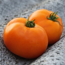 New Fresh Amana Orange Tomato 20 Vegetable Seeds - £12.44 GBP