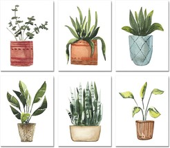 8X10 Unframed Poster Canvas Prints Set Of 6, Plant Posters Aesthetic Green - £28.91 GBP