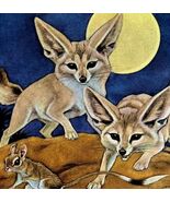 Fennec Fox Desert 1954 Art Print Paul Bransom Marlin Perkins Zooparade D... - $56.04 CAD