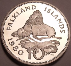 Huge Rare Proof Falkland Islands 1980 10 Pence~Ursine Seal~10k Minted~Free Ship - £14.07 GBP