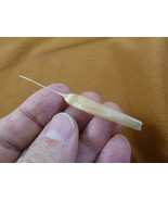 (w32-17) North American Porcupine tail quill Erethizon dorsatum craft su... - $23.00 CAD