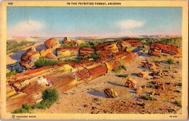 In the Petrified Forest, Arizona, AZ, 1933 Linen Vintage Postcard (B) - £4.31 GBP