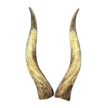 LongHorn Steer Horn Set (2 horns/left and right) - 26&quot; long Horns Rustic... - $4,420.84 MXN