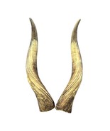 LongHorn Steer Horn Set (2 horns/left and right) - 26&quot; long Horns Rustic... - $236.61