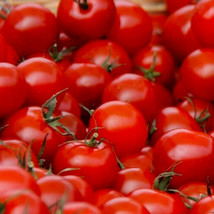 HGBO Small Red Cherry Tomato Seeds 100 Seeds Garden Vegetables Sauce Salad From  - £6.91 GBP