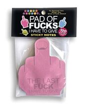 LAST F I HAVE TO GIVE STICKY NOTES 100 PIECE PAD OF FU - $12.86