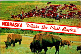 Postcard Nebraska Where the West Begins Round Up Herd of Buffalo 6 x 4 Ins. - £3.92 GBP