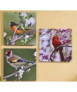 Bird Framed Prints Stretched Canvas Set of 3 Cardinals Oriole Outdoor 20... - £70.39 GBP