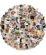 100Pcs Cute Cat Stickers Funny Cat Meme Stickers Decals for Adults Kids ... - £17.61 GBP