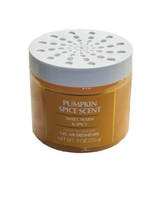 Pumpkin Spice Scent Sweet Warm &amp; Spice Odor Neutralizer Gel Clear Freshe... - £10.03 GBP