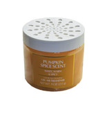 Pumpkin Spice Scent Sweet Warm &amp; Spice Odor Neutralizer Gel Clear Freshe... - €11,15 EUR