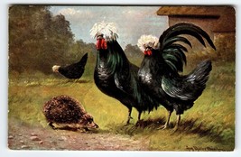White Crested Black Polish Chickens &amp; Hedgehog Postcard Signed Muller Germany - £27.27 GBP