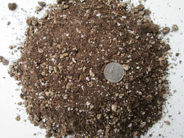 5 Qts -Soil Mix for Spineless Succulents &amp; Cactus -Custom Blend -Proper Drainage - £6.37 GBP