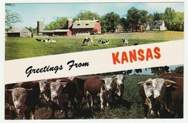 Vintage Postcard Greetings From Kansas Cows and Barn Unused 1970&#39;s - £4.64 GBP