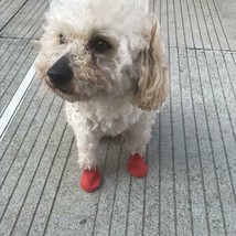 Dog Cat Red Silicone Protective Waterproof 4Pcs Raining Boot Shoes Size XL - £8.16 GBP