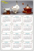 2023 Magnetic Calendar - Today is My Lucky Day - Cat Themed 019 (5.25 x 8) - $9.89