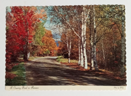 Country Road in Autumn Pocono Mountains PA Fall Scalloped Dexter Postcard 1960s - $3.99