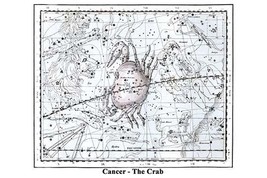 Cancer - the Crab 20 x 30 Poster - £20.52 GBP