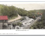 Mill Falls at Parksville New York NY UNP Feitner &amp; Weber UDB Postcard V8 - $7.87