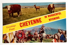 Greetings from Cheyenne in Wonderful Wyoming Cows WY UNP Postcard c1960s - $5.99