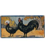 Cowan Co Toronto Card Black Polish Chicken Series - $9.89