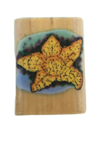 Noteworthy Small Starfish Beach Theme Mounted Rubber Stamp Card Making Craft Art - £3.18 GBP