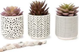 Kurrajong Farmhouse Artificial Succulents In Pots | Set Of 3 Black And W... - £32.28 GBP