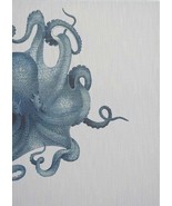 Wall Art Print 19th C Octopus Study 47x65 65x47 White Blue - £565.58 GBP